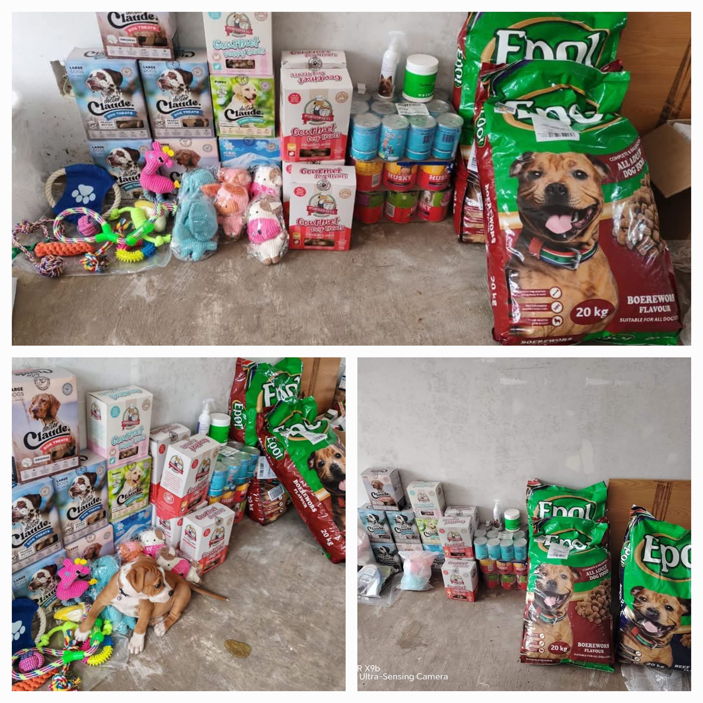 Paws A Plenty Rescue & Rehoming